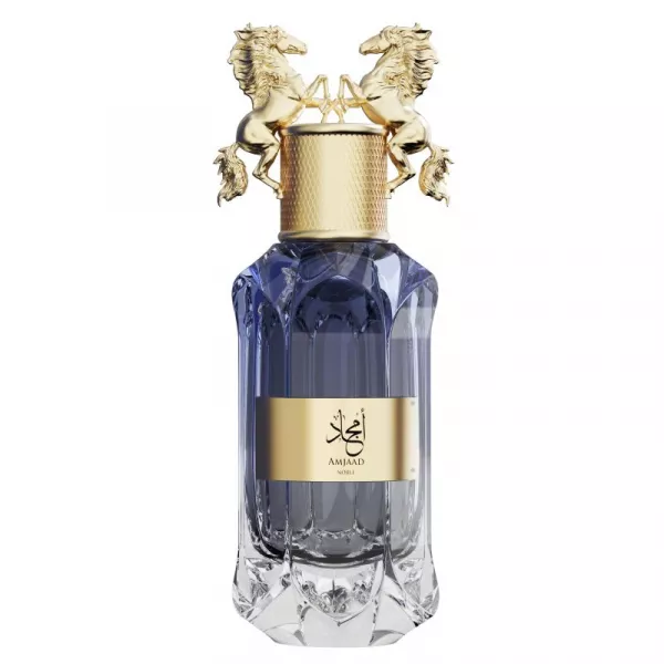 Парфумована вода для чоловіків Le Falcone Niche Collection Amjad Noble 100 ml Le Falcone Niche Collection Amjad Noble 100 ml фото