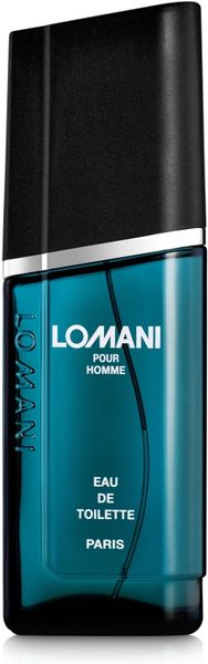 Туалетна вода чоловіча Parfums Parour Lomani 100 ml Lomani  фото