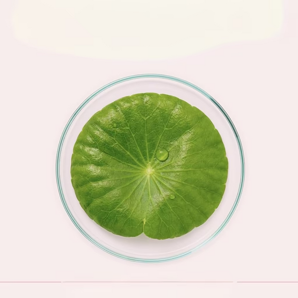 Ежедневная восстанавливающая сыворотка ампульная для лица Centellian24 Madeca Daily Repair Ampoule для сухой и чувствительной кожи, 50 мл Centellian24 Madeca Daily Repair Ampoule 50 мл фото