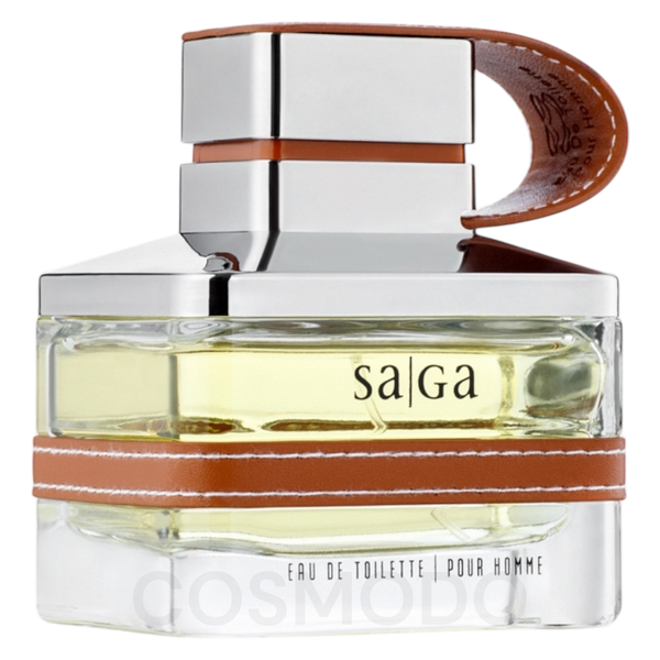 Туалетна вода чоловіча Emper Saga Man 100ml Saga Man 100 фото