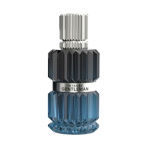 Парфюмированная вода для мужчин MIRADA Gentleman Intense 100ml MIRADA Gentleman Intense 100ml фото