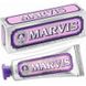 Зубна паста "М'ята і жасмин" Marvis Jasmin Mint 25 ml Marvis Jasmin Mint фото 1