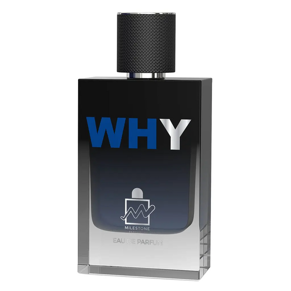 Парфюмированная вода мужская Why 100ml Man MILESTONE Why 100ml Man MILESTONE фото